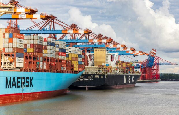 European Commission Softens EUDR Reporting Requirements